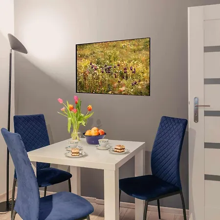 Apartament Pod Jedynka Bielsko-Biala Exterior photo